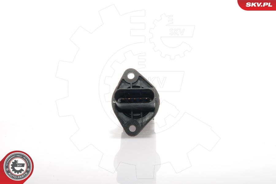 Mass Air Flow Sensor